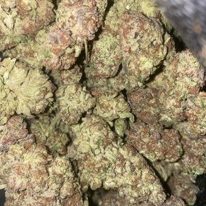 Meet your Posher, Dion